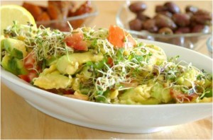 salade d'avocat et de graines germées Salade d'avocat et de graines germées