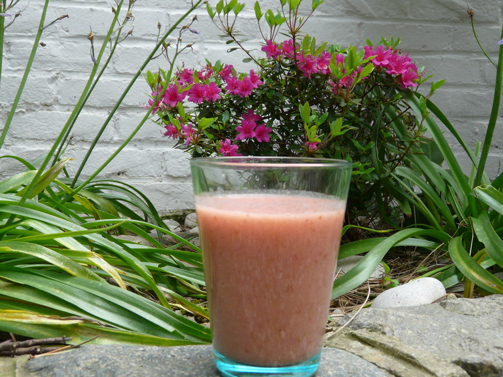 smoothie-rhubarbe-et-framboise (2) Un smoothie insolite à la rhubarbe et aux framboises